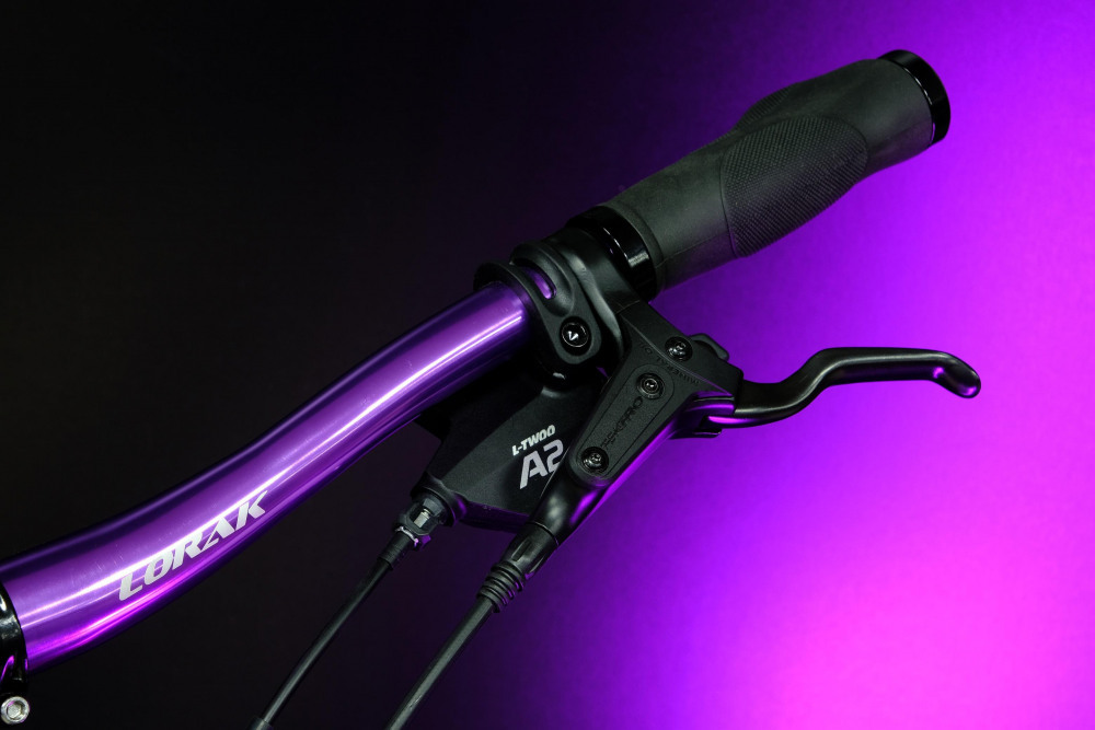 Lorak Glory 2000 Матовый Чёрный/Фиолетовый рама 17 (на рост 155-173)